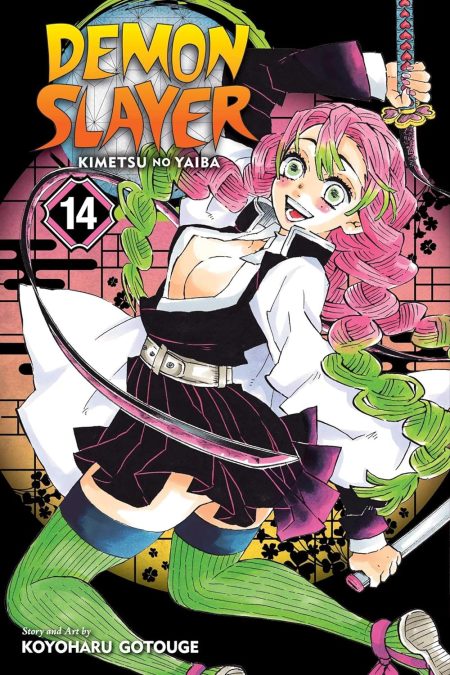 DEMON SLAYER KIMETSU NO YAIBA V14