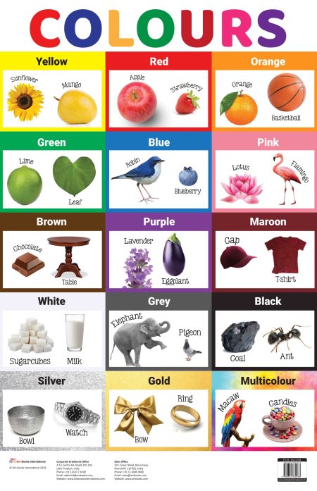 Colours : Charts