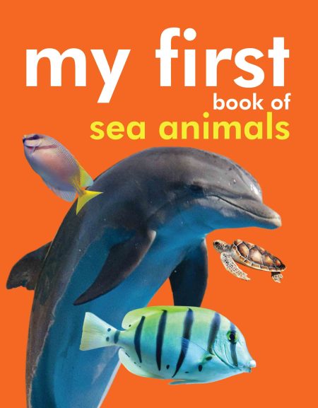 My First Book of Sea Animals