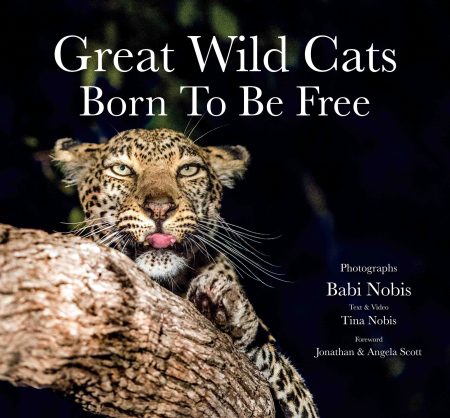 Great Wild Cats Born to Be Free
