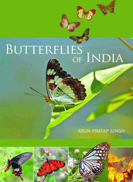 Butterflies of India