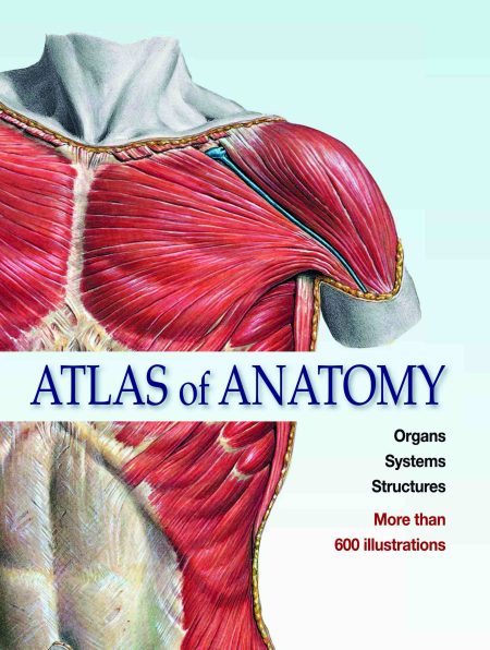 Atlas of Anatomy Organs Systems Structures