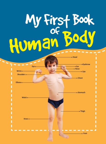 My First Book of Human Body