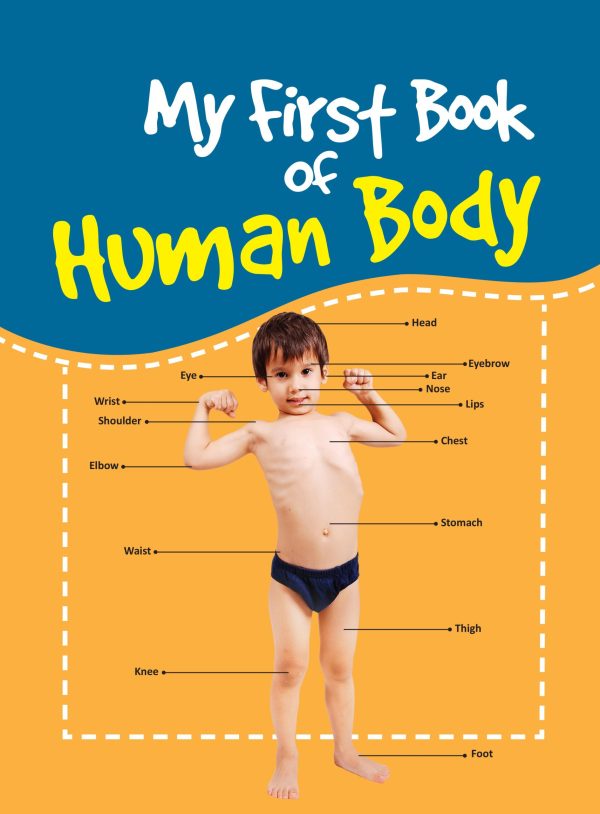 My First Book of Human Body