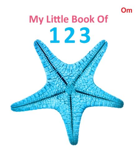 My Little Book of 123