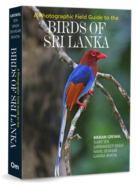 Birds of Sri Lanka: A Photographic Field Guide to the Birds of Sri Lanka