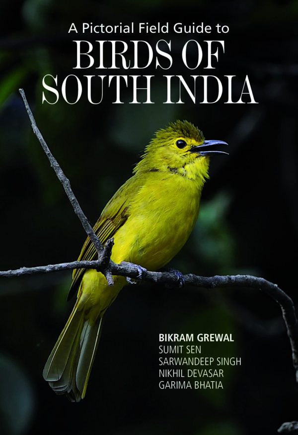 Birds of Southern India