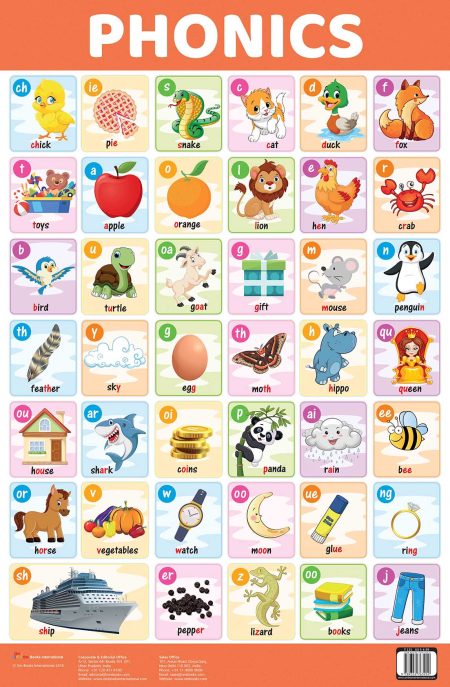 Phonics : Charts